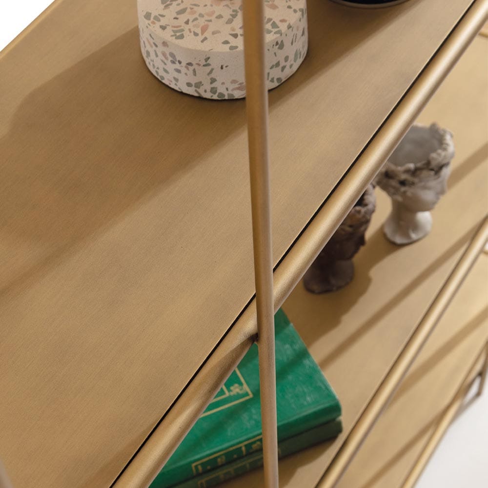 Lion Bookshelf - Image 2